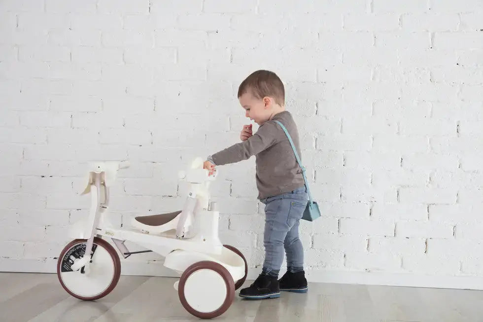 iimo 3-in-1 Foldable Tricycle with Canopy Blkhaven
