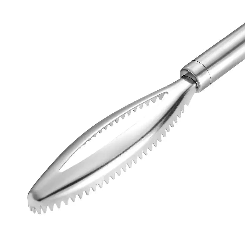 Fish Scale Scraper - 430 Stainless Steel Tool Blkhaven