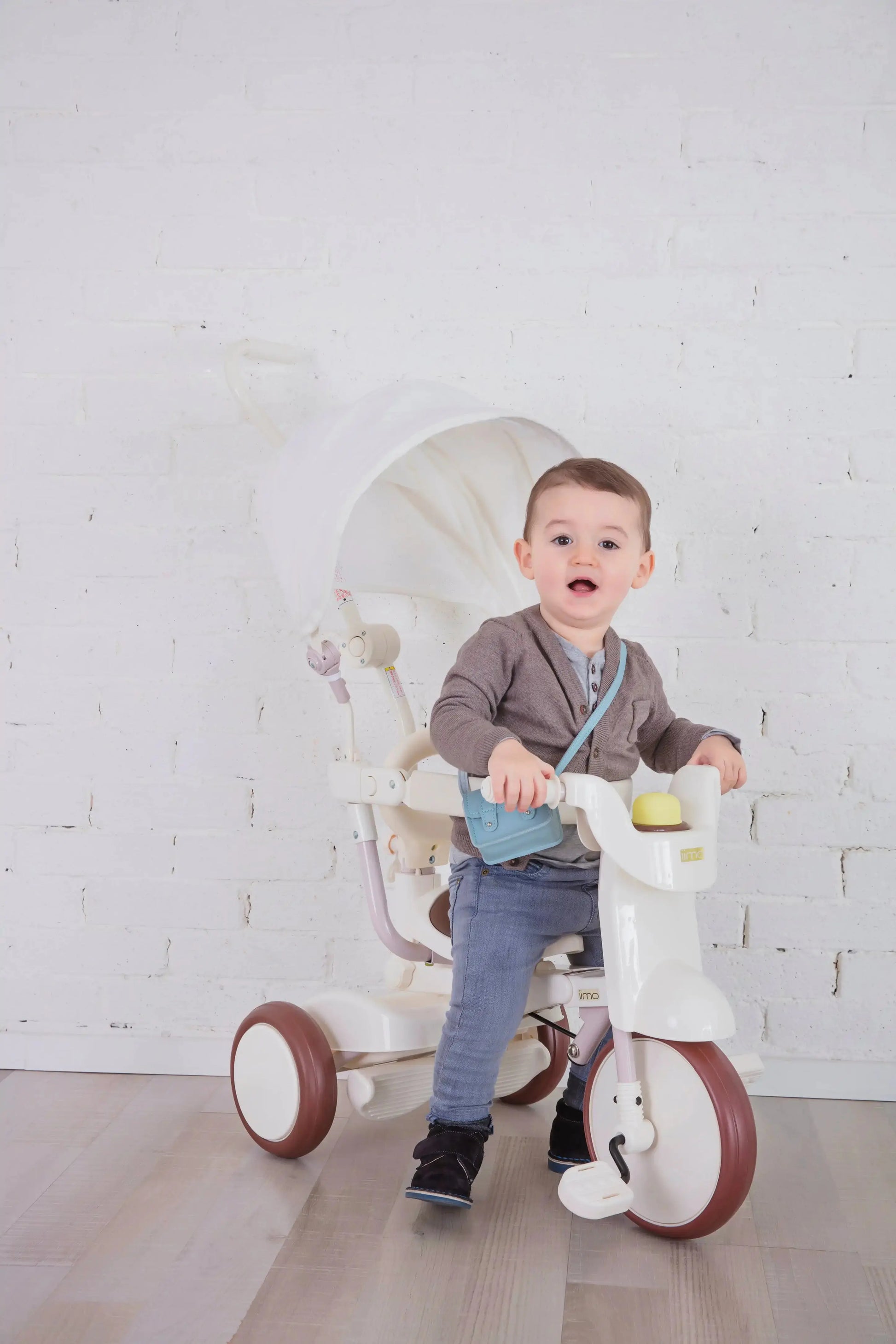iimo 3-in-1 Foldable Tricycle with Canopy Blkhaven