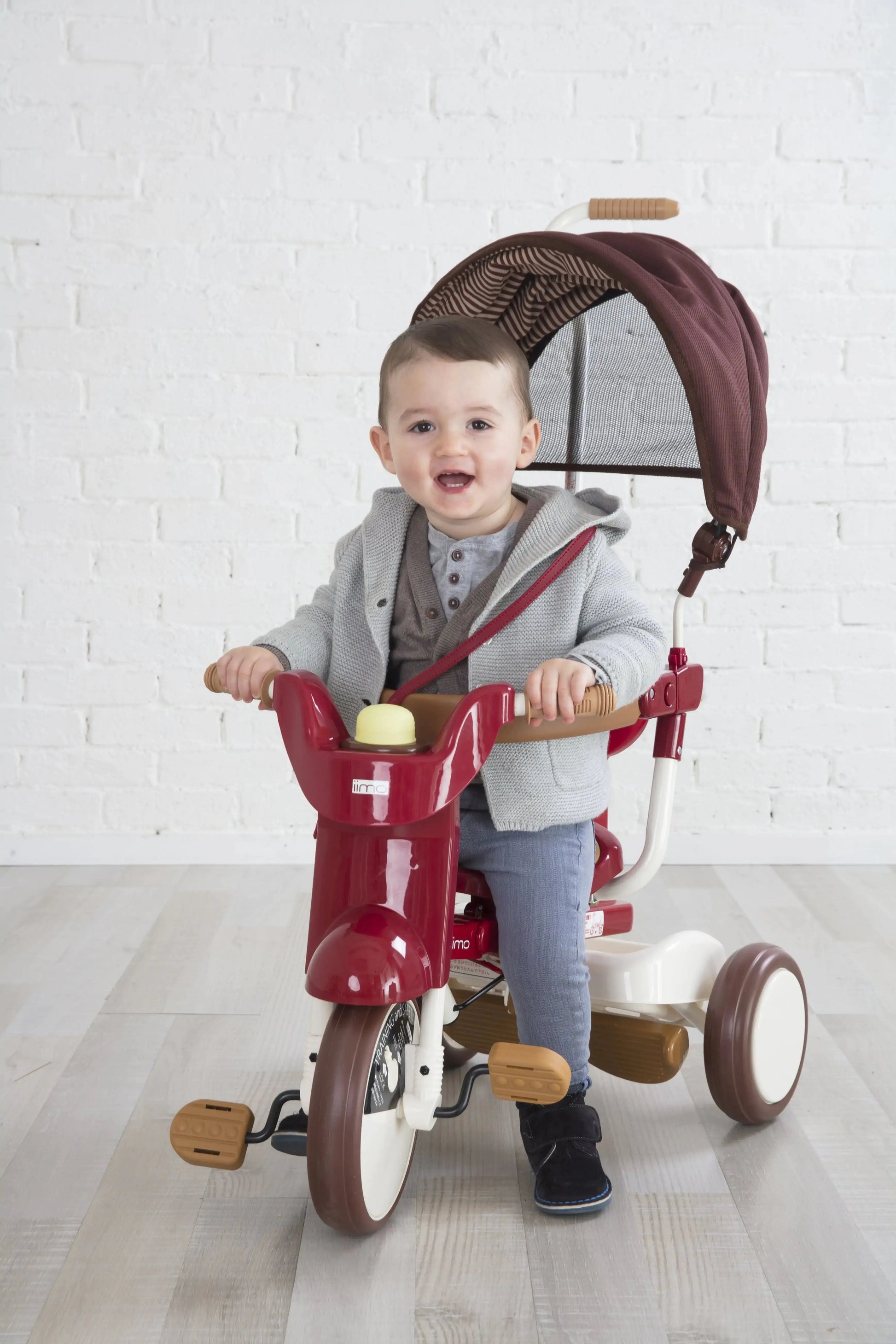 iimo 3-in-1 Foldable Tricycle with Canopy Blkhaven
