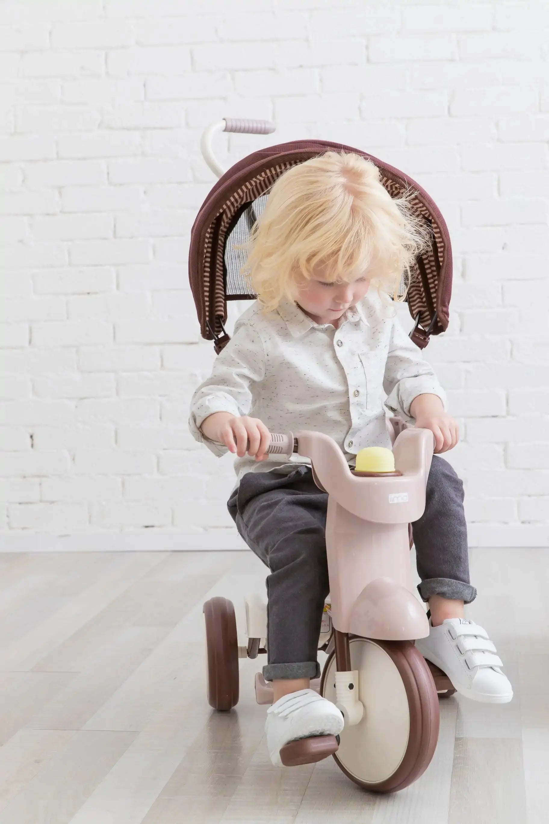 iimo 3-in-1 Foldable Tricycle with Canopy Blkhaven