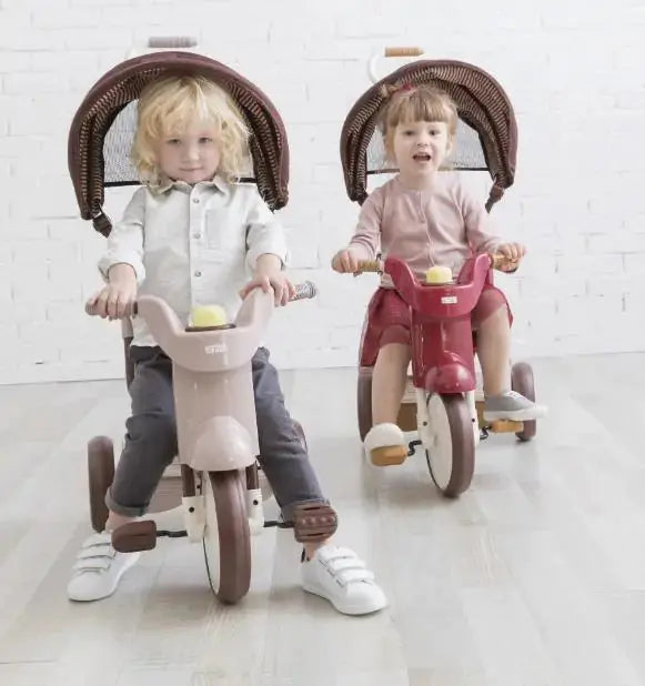 iimo 3-in-1 Foldable Tricycle with Canopy Blkhaven
