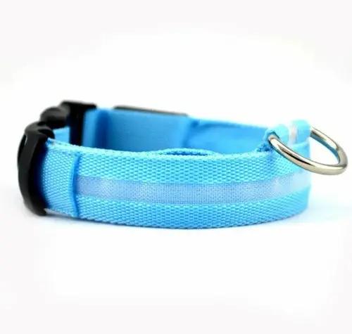 2 PCS Set Nylon LED Dog Collar Yellow Pandora