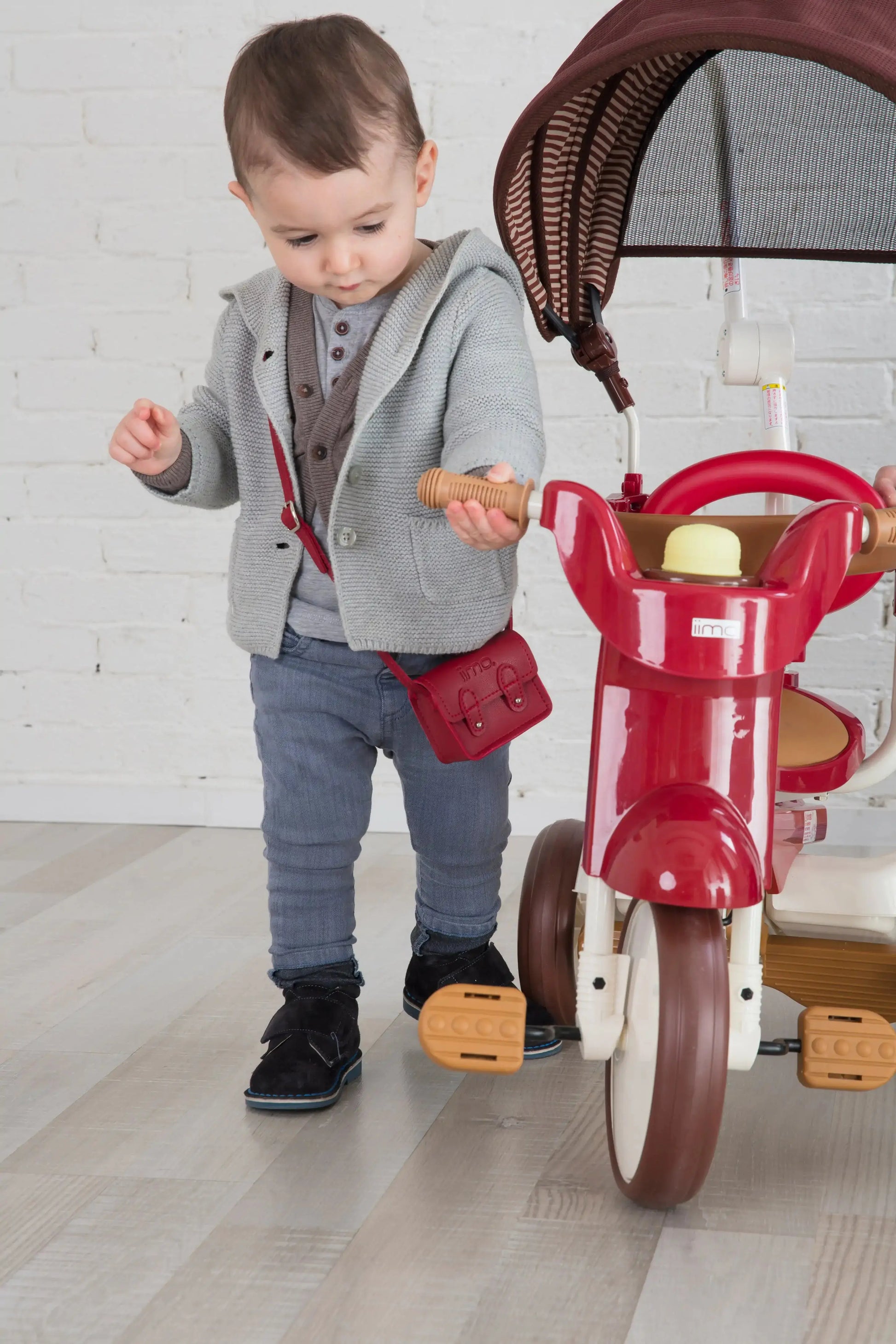 iimo 3-in-1 Foldable Tricycle with Canopy Blkhaven