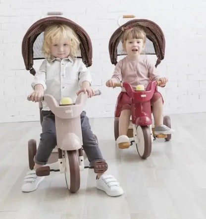 iimo 3-in-1 Foldable Tricycle with Canopy Blkhaven