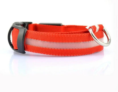 2 PCS Set Nylon LED Dog Collar Yellow Pandora
