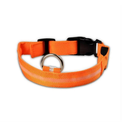 2 PCS Set Nylon LED Dog Collar Yellow Pandora