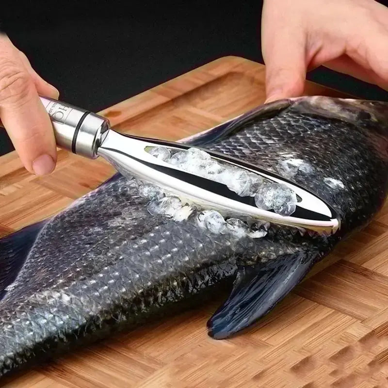 Fish Scale Scraper - 430 Stainless Steel Tool Blkhaven